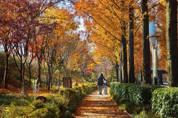星空·综合(中国)体育网站