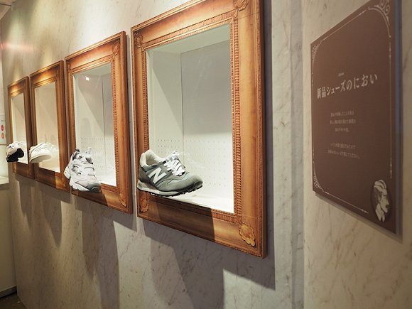 星空综合股份(中国)