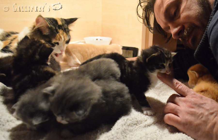 星空·综合(中国)体育网站