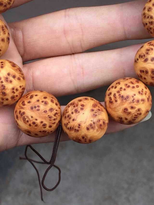 星空·综合(中国)体育网站