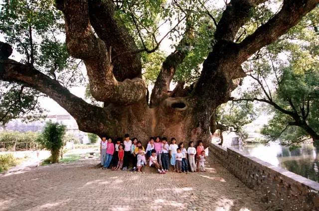 星空综合股份(中国)