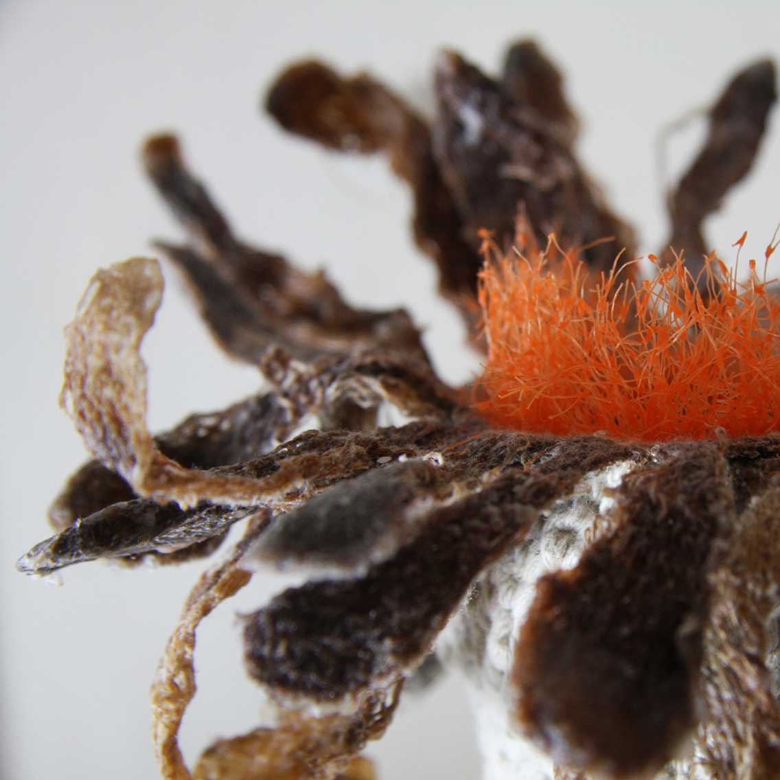 星空·综合(中国)体育网站