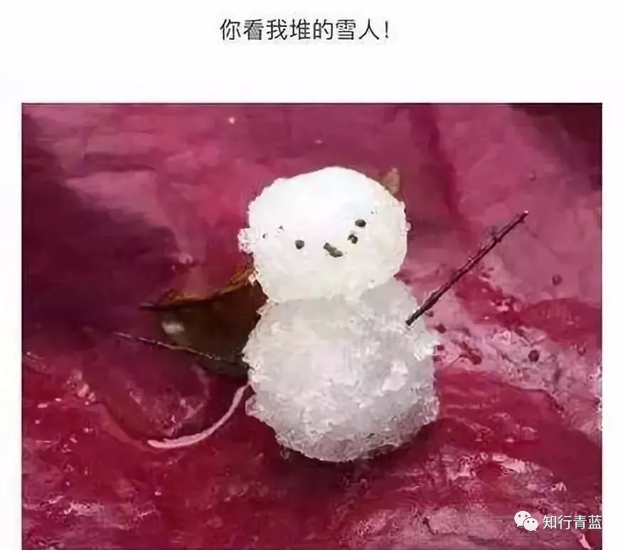 星空综合股份(中国)