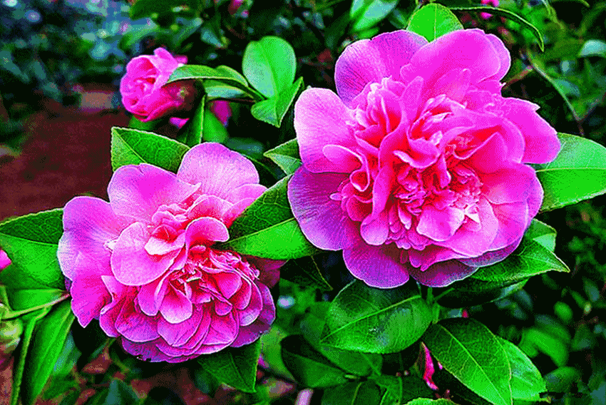 星空·综合(体育中国)