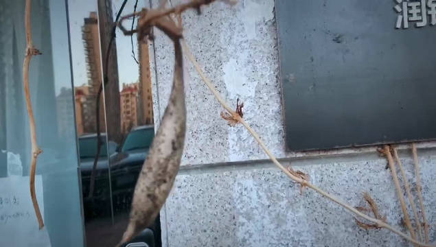 星空综合股份(中国)