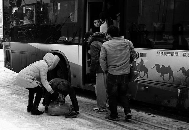 星空综合股份(中国)