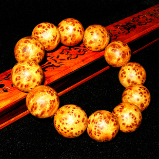 星空综合股份(中国)