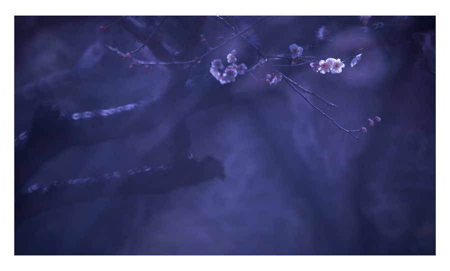 星空综合股份(中国)