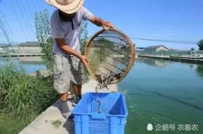 星空·综合(体育中国)