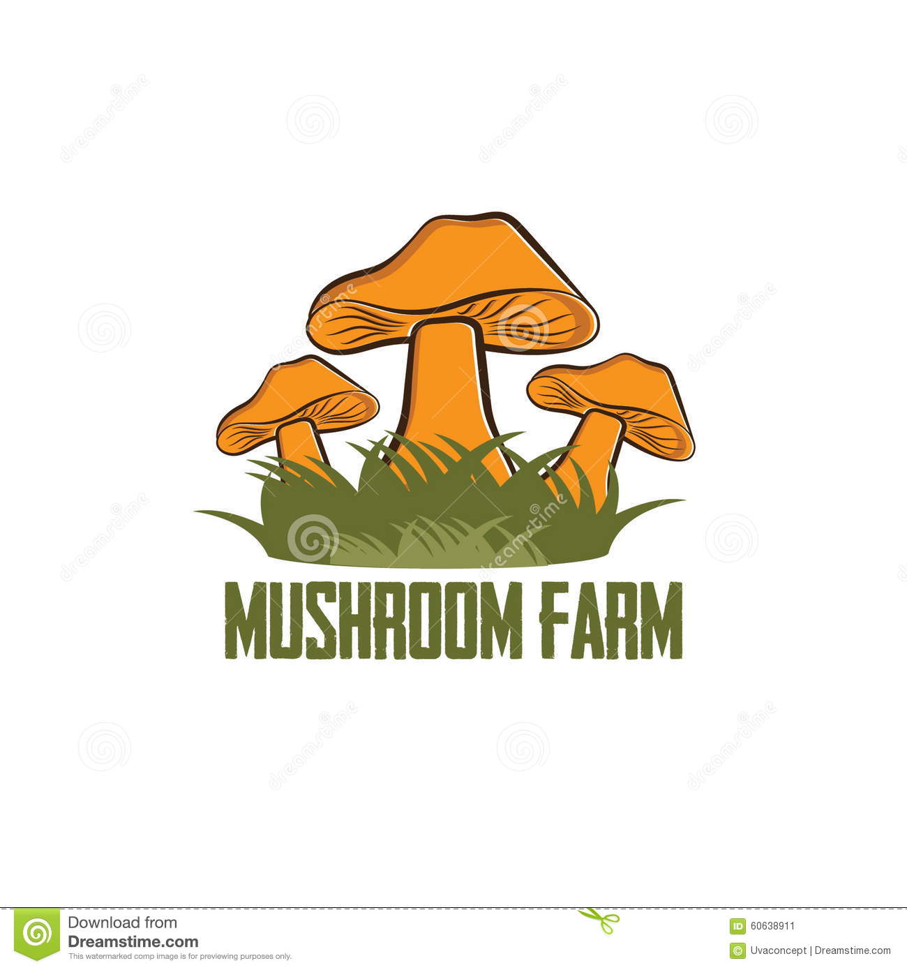 星空·综合(中国)体育网站