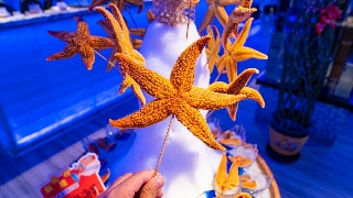 星空综合股份(中国)