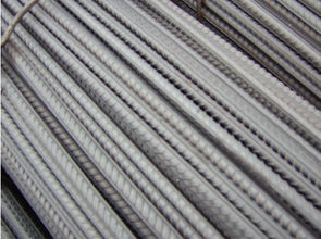 星空综合股份(中国)