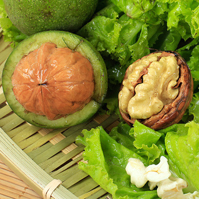 星空综合股份(中国)