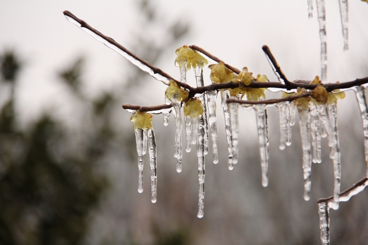 星空综合股份(中国)