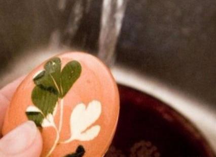 星空综合股份(中国)