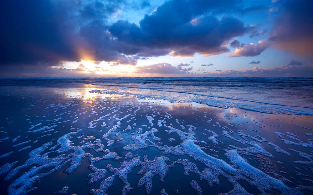 
拼音带cou的字大全【星空·综合(中国)体育网站】(图2)