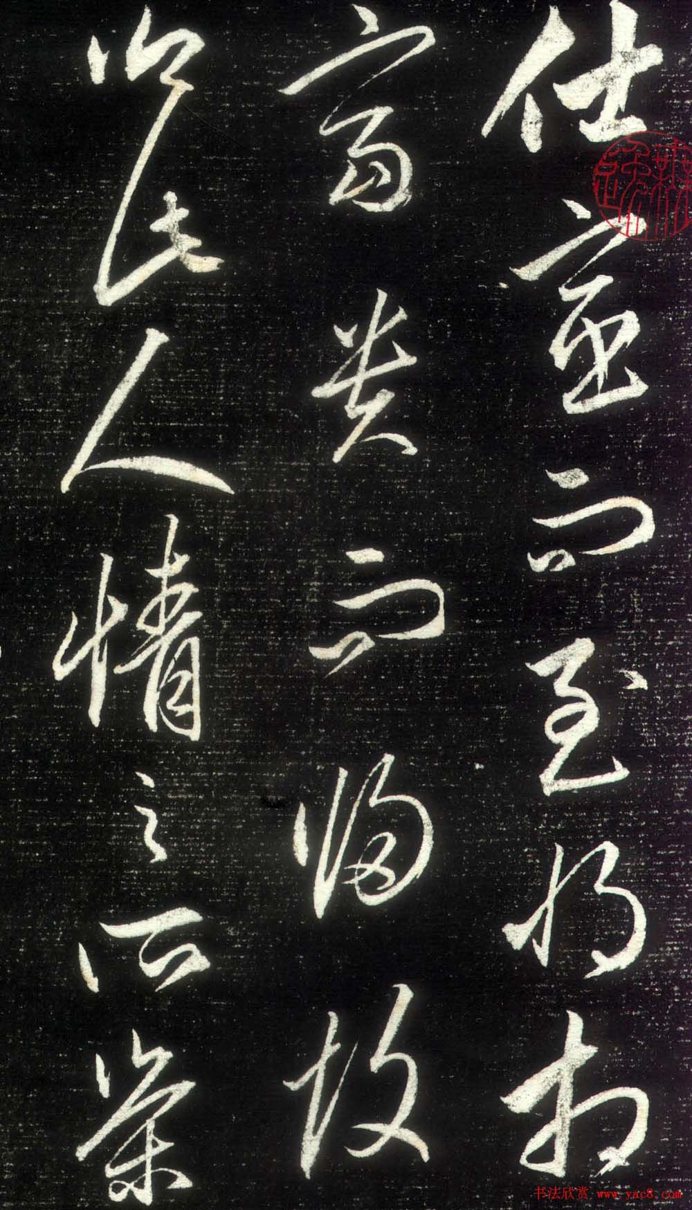 星空综合股份(中国)