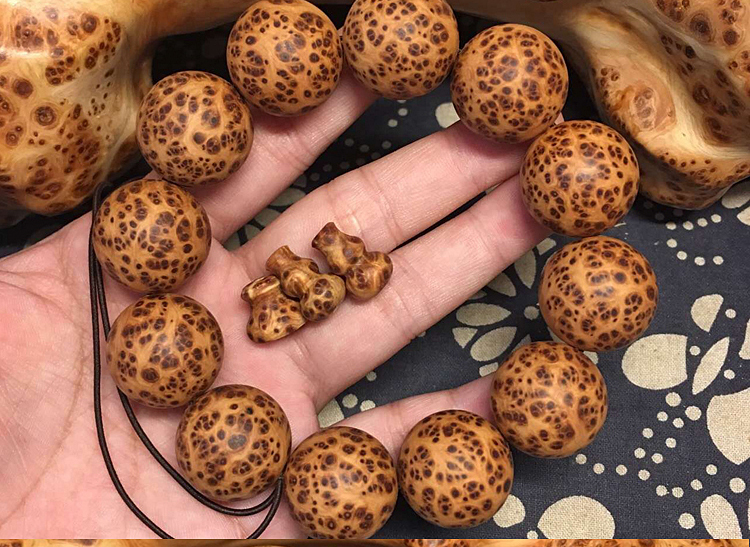 星空·综合(体育中国)