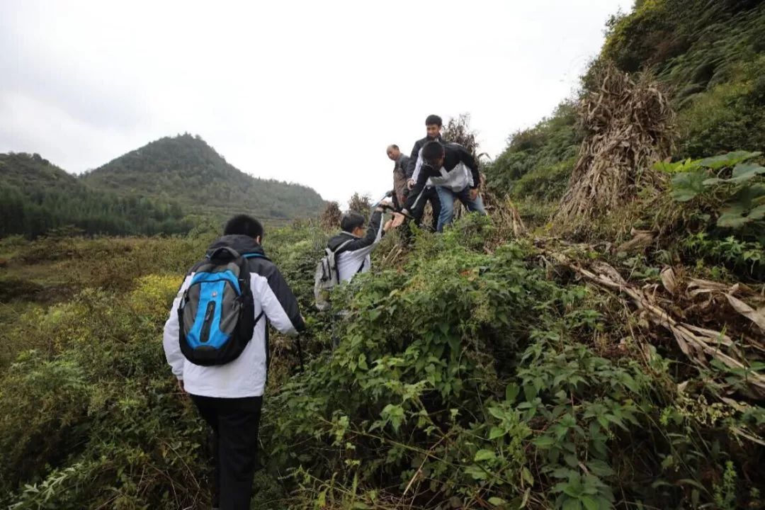 星空·综合(体育中国)