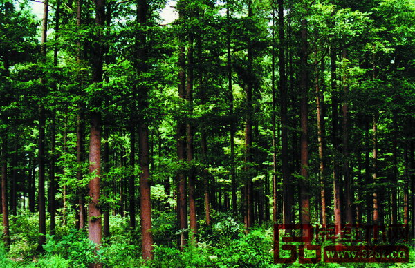 星空·综合(中国)体育网站