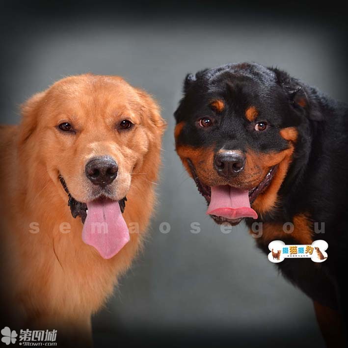 星空·综合(体育中国)