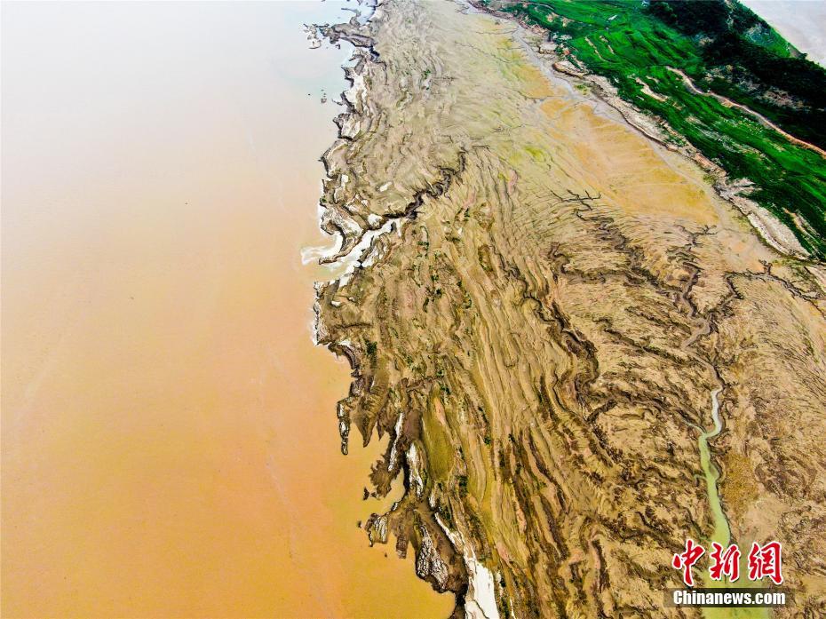 星空综合股份(中国)