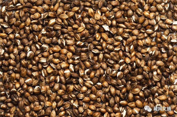 星空综合股份(中国)