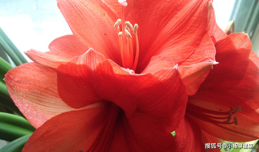 星空综合股份(中国)|
年龄变老 此外女人早已人老珠黄 她们却越来越有魅力的三大生肖(图4)