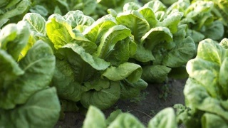 星空·综合(体育中国)